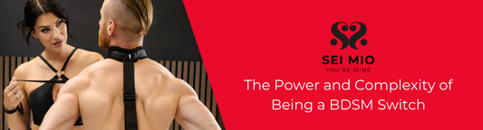 The Power and Complexity of Being a BDSM Switch