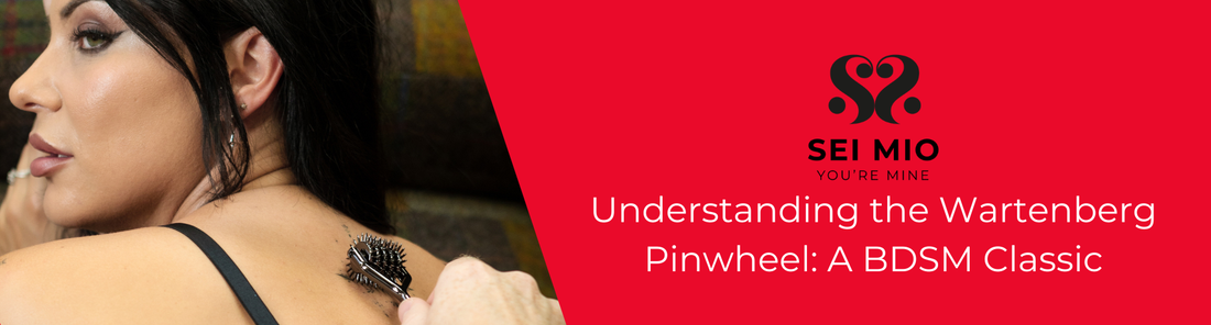 Understanding the Wartenberg Pinwheel: A BDSM Classic