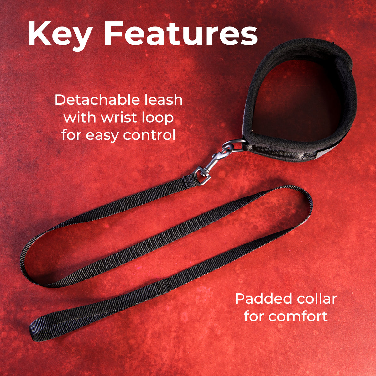 Take the Lead - Padded Neck Collar and Leash