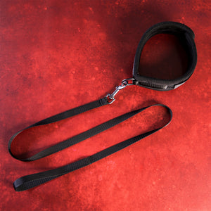 Take the Lead - Padded Neck Collar and Leash