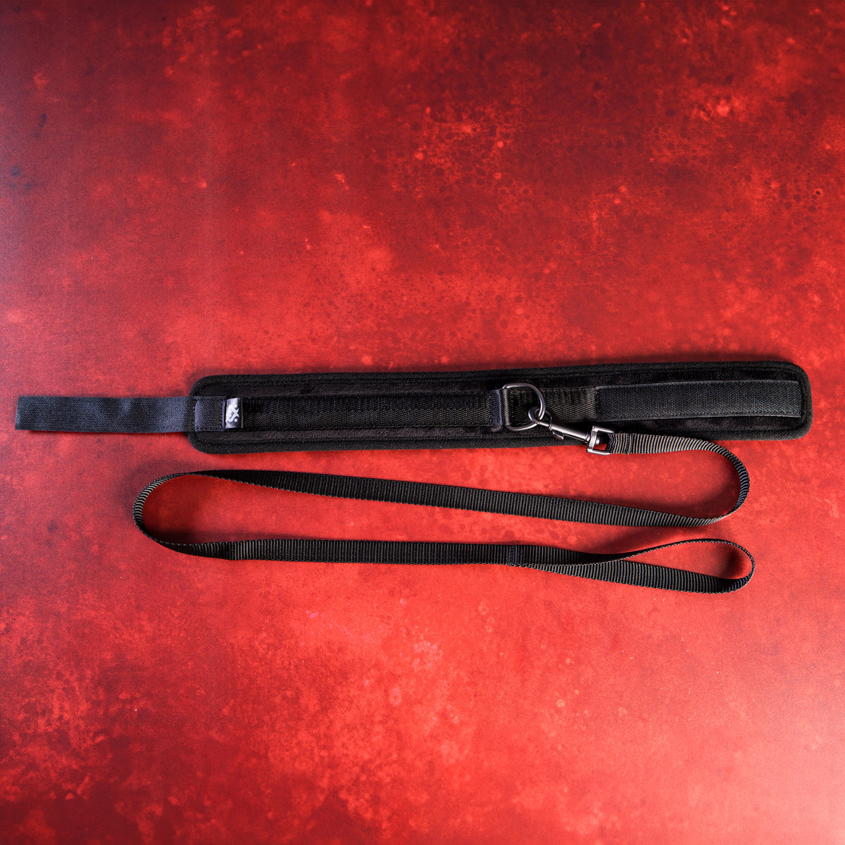 Take the Lead - Padded Neck Collar and Leash