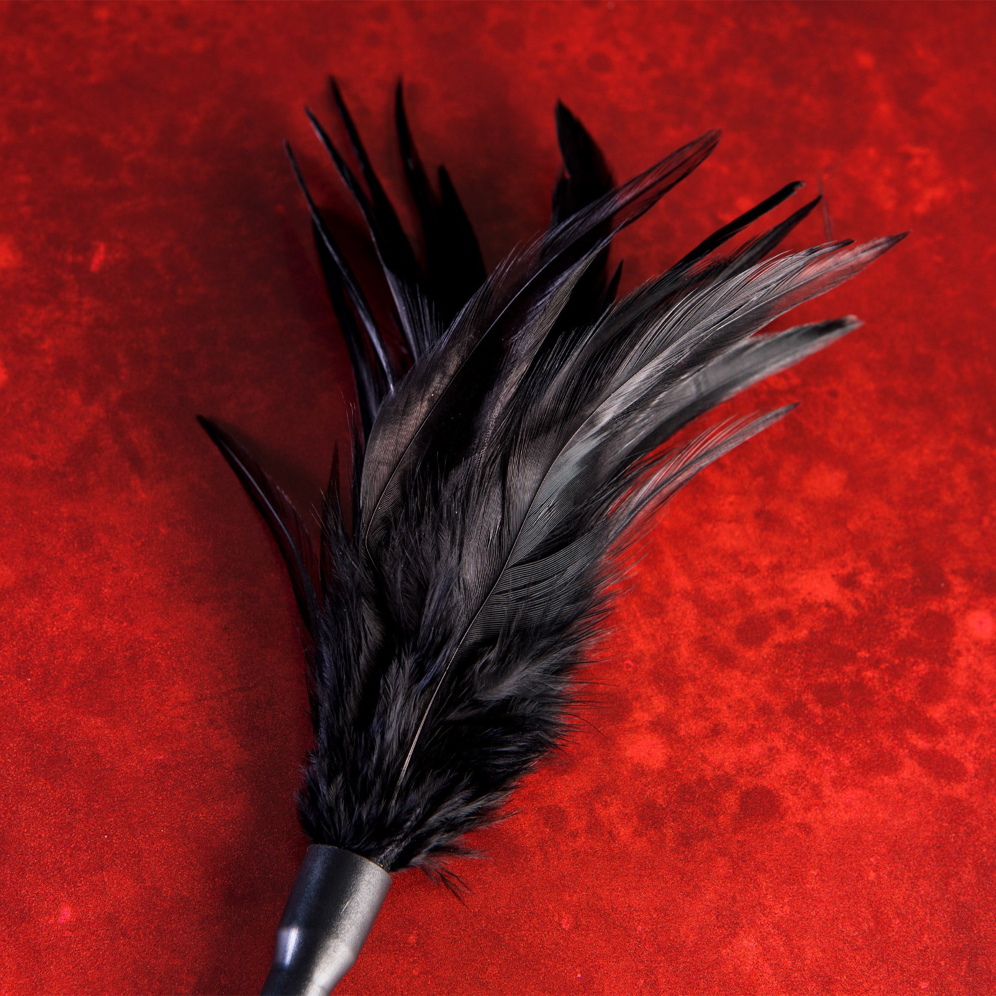 Tickled Kink - Soft Mini Feather Tickler