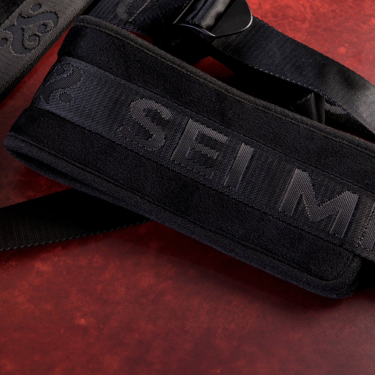 Behind Closed Doors - Adjustable Door Hanging Sex Swing