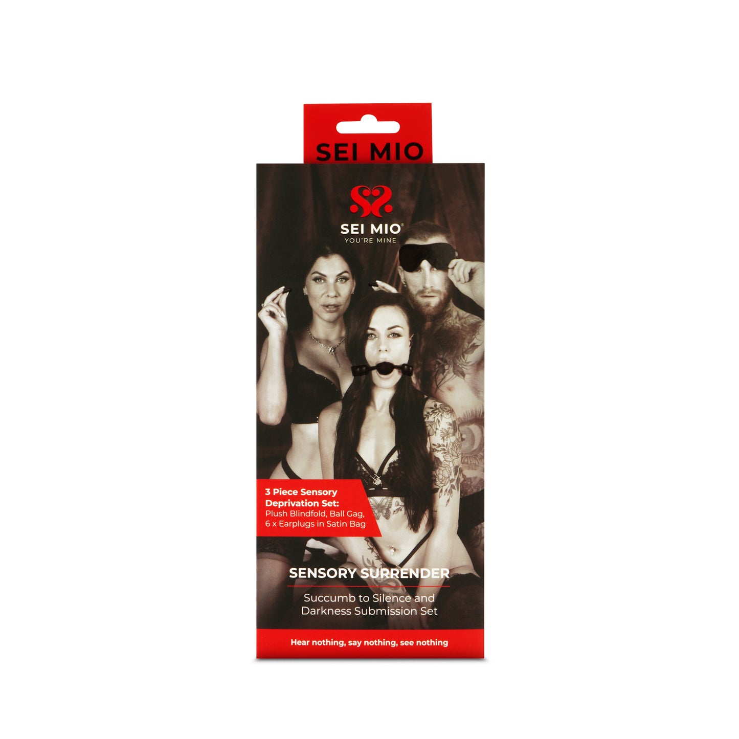 Sensory Surrender - Blindfold, Gag and Earplug Kit