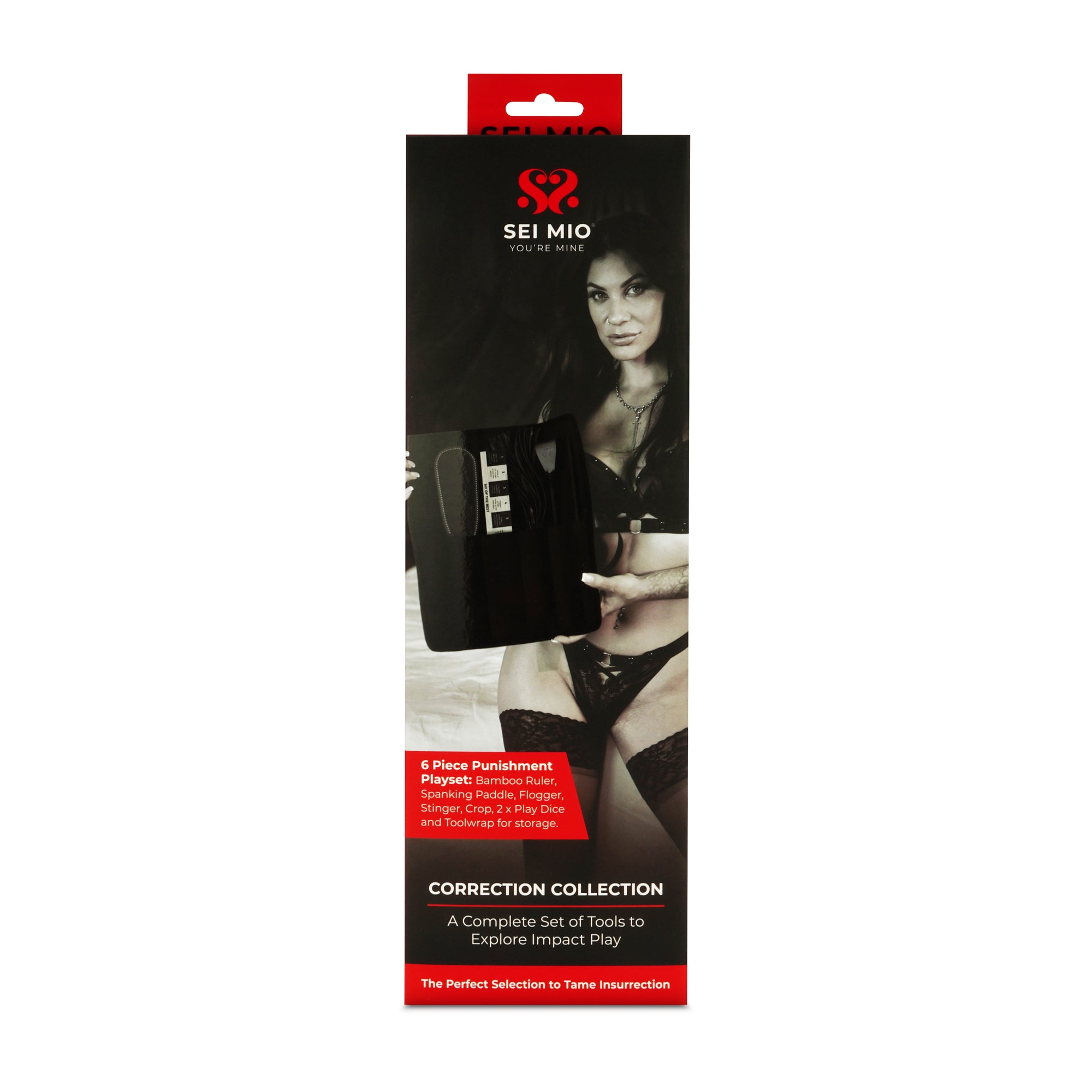Correction Collection - Impactful 5 Piece Punishment Toolkit