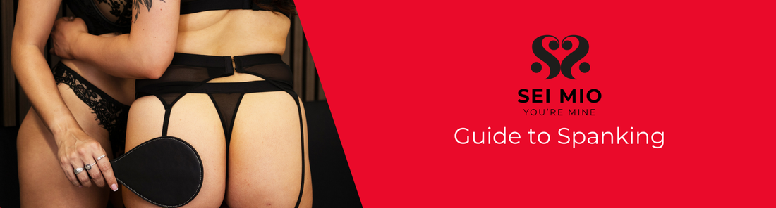 Guide to spanking. One woman in lingerie spanking another.