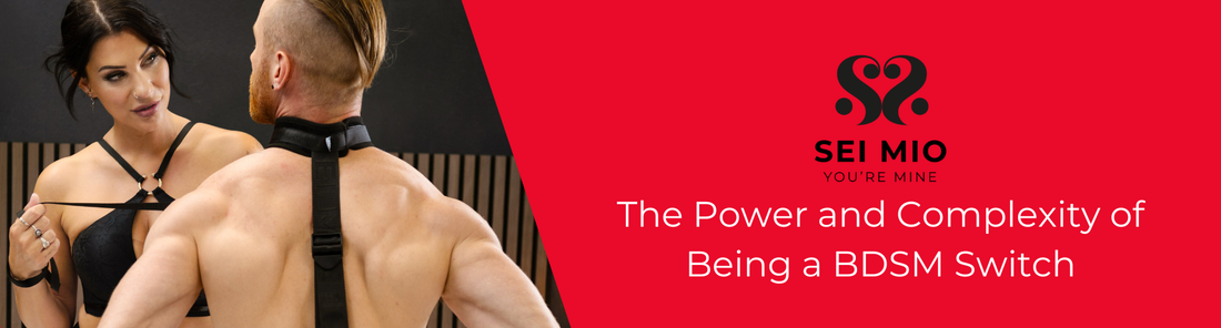 The Power and Complexity of Being a BDSM Switch