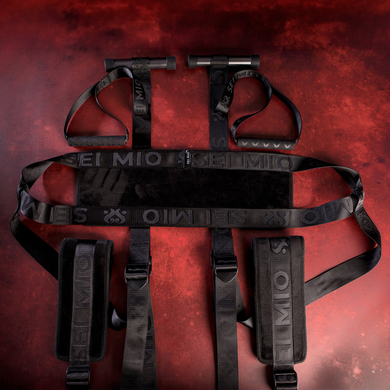 Behind Closed Doors - Adjustable Door Hanging Sex Swing