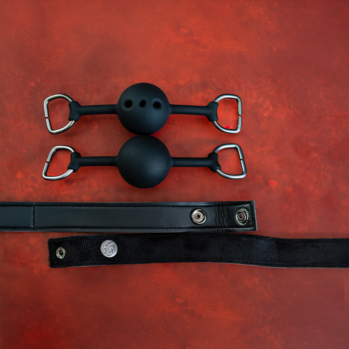 Silent Authority - Progressive Interchangeable Ball Gag Set
